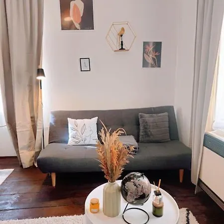 Apartament Swanky